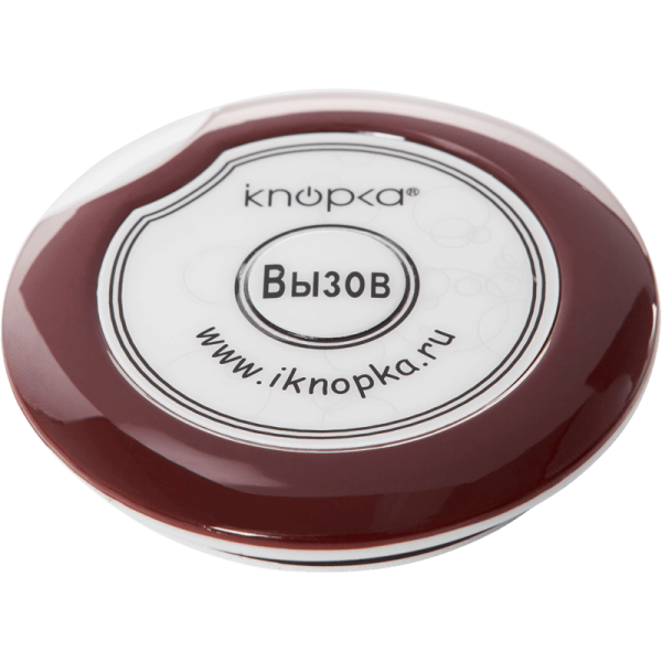 Кнопка вызова iKnopka APE700 Кнопка вызова iKnopka APE700