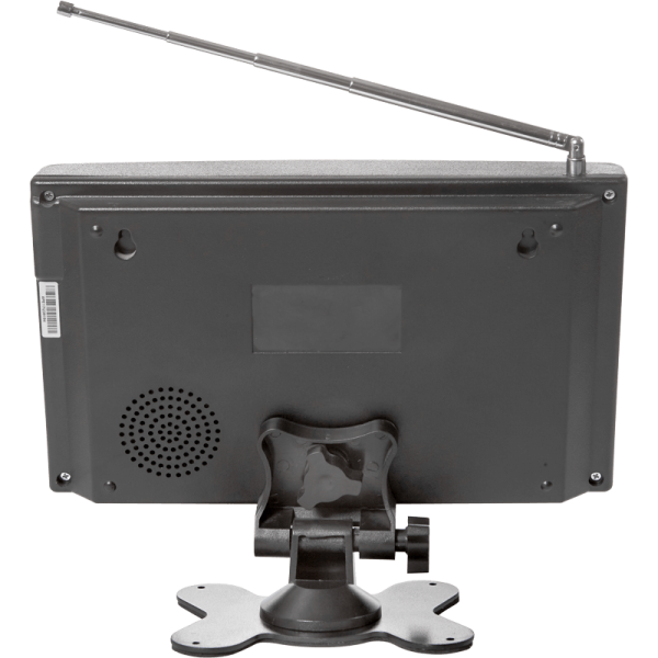 Табло вызова iKnopka APE9300